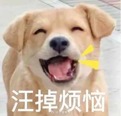 所有快乐都向你靠拢，所有好运都在路上。#晚安#