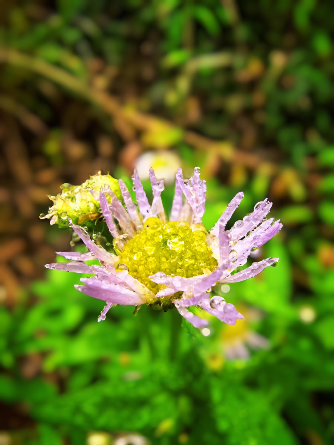 觉醒后，
你只须把自己做好，
做到问心无愧，
一切好坏善恶是非对错，
自然与你无