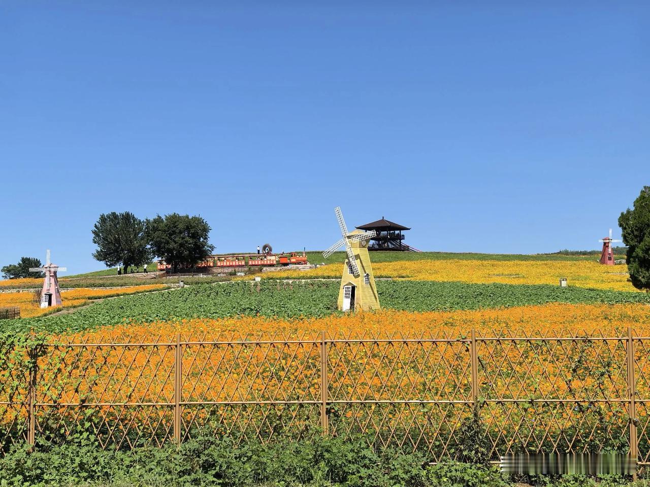 乘坐小火车在花海漫游，
孩子们最喜欢了。
吕梁花海小火车出发了，
游客乘坐小火车