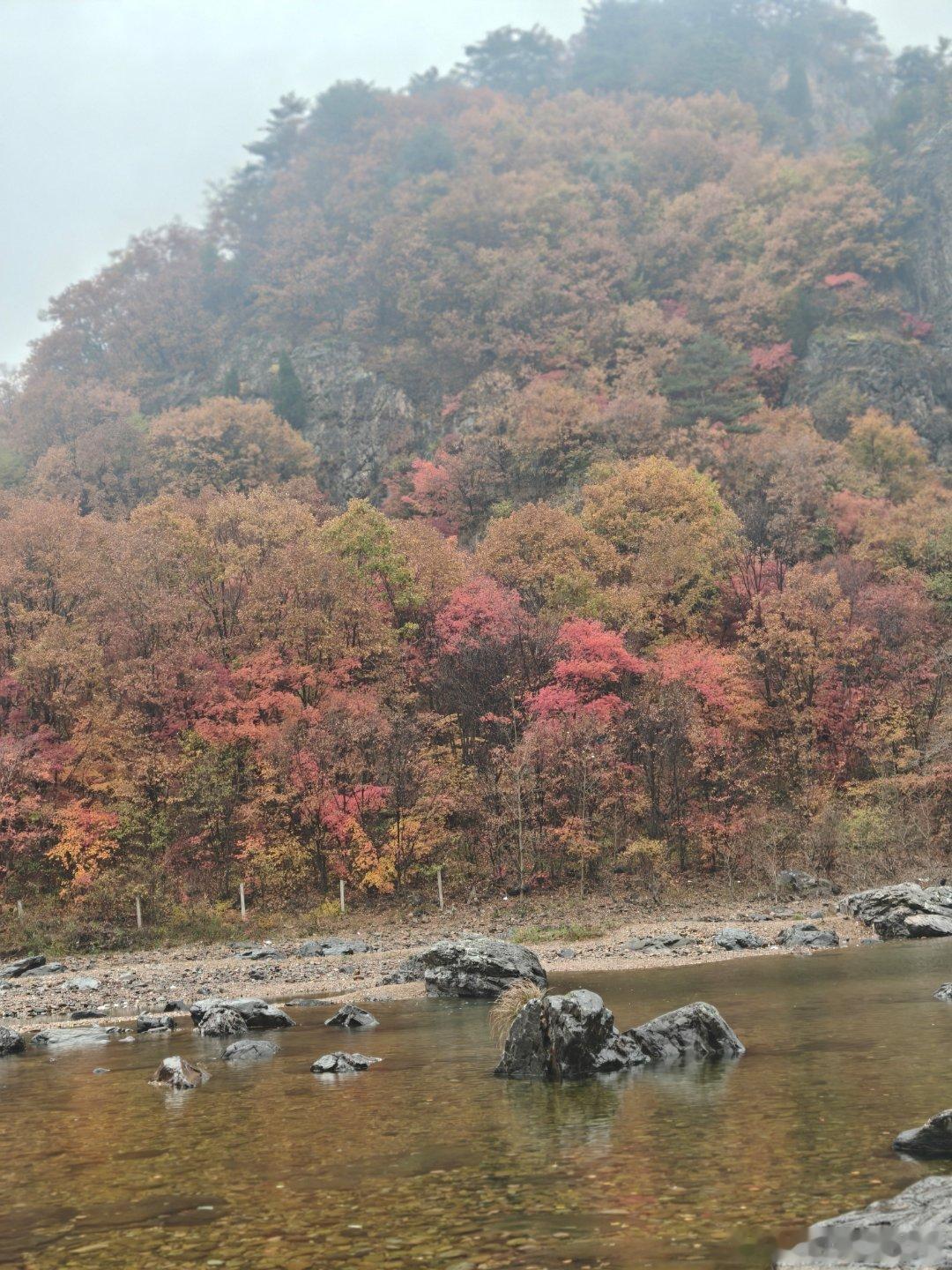 烦恼本无根，不捡自然无；困惑本无源，不究自轻松。世间之事，一念而已，心中若晴，何