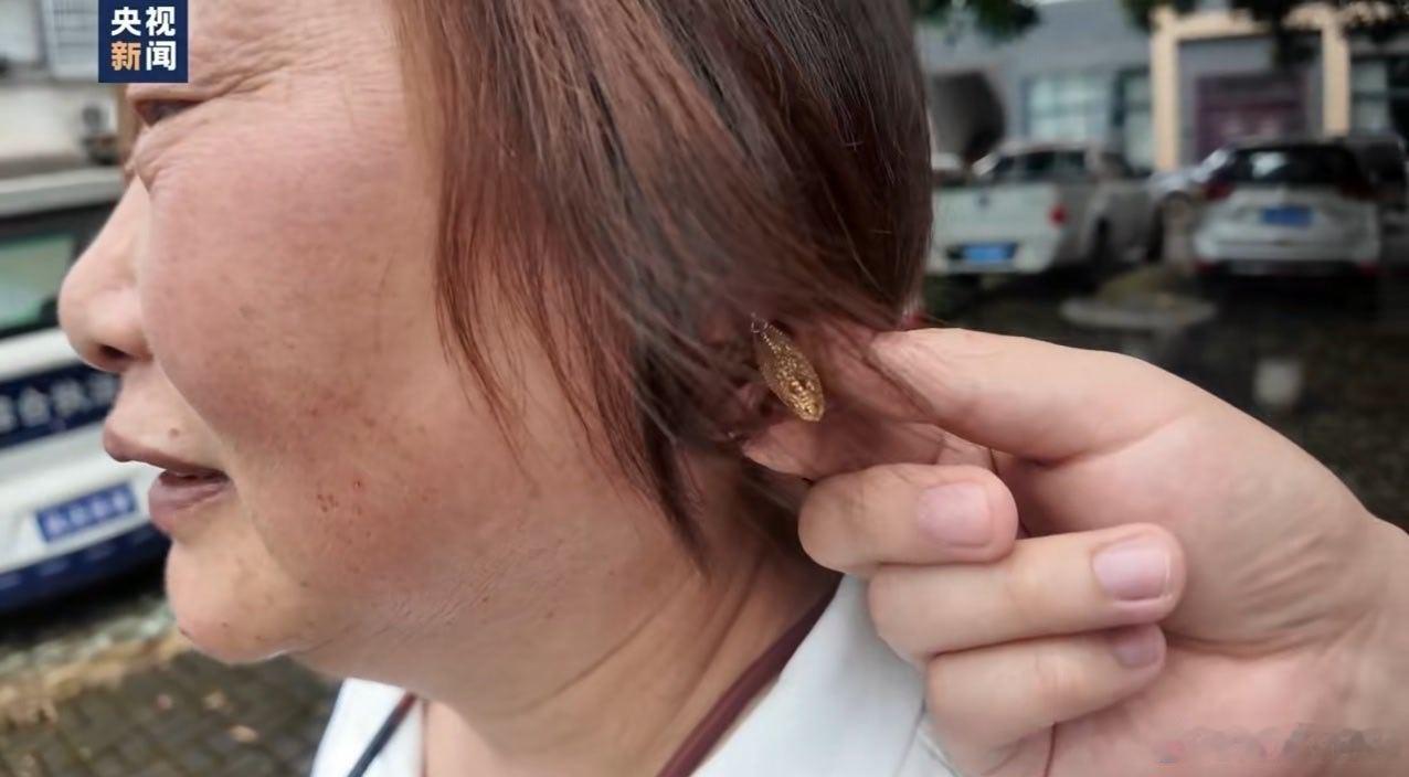 女干部展示不到100元的耳环就像网友们说的好，就算是金的又能怎么样，需要严惩一些