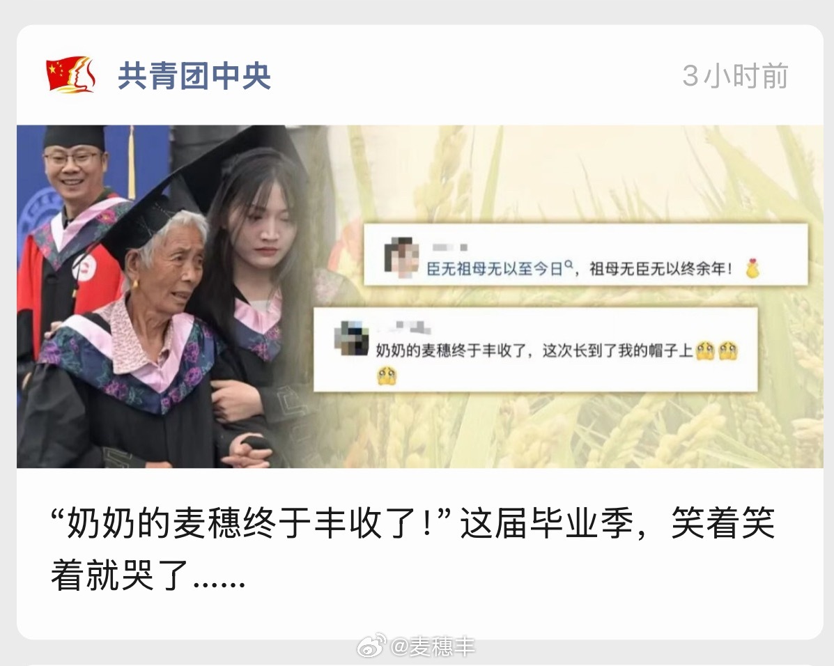 这又何尝不是一种“麦穗丰”。 