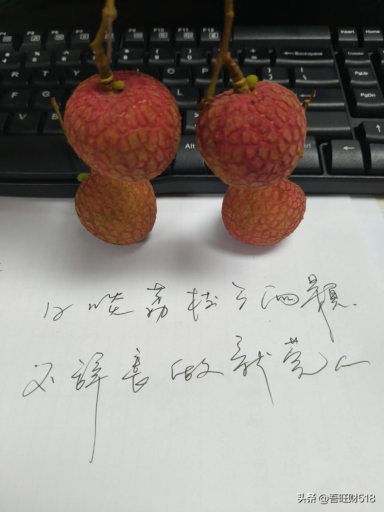 日啖荔枝三两颗
不辞长做新莞人

今天吃荔枝了吗 ？
荔枝