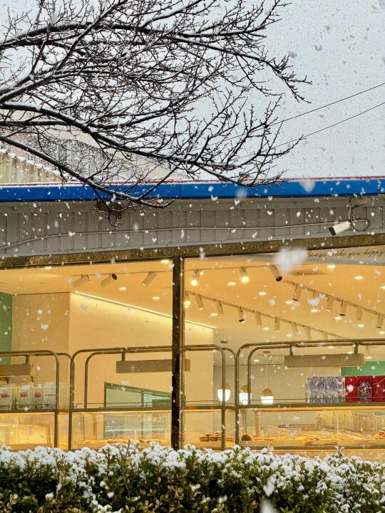 3月15日❄️北京春雪 突如其来的幸福具像化了