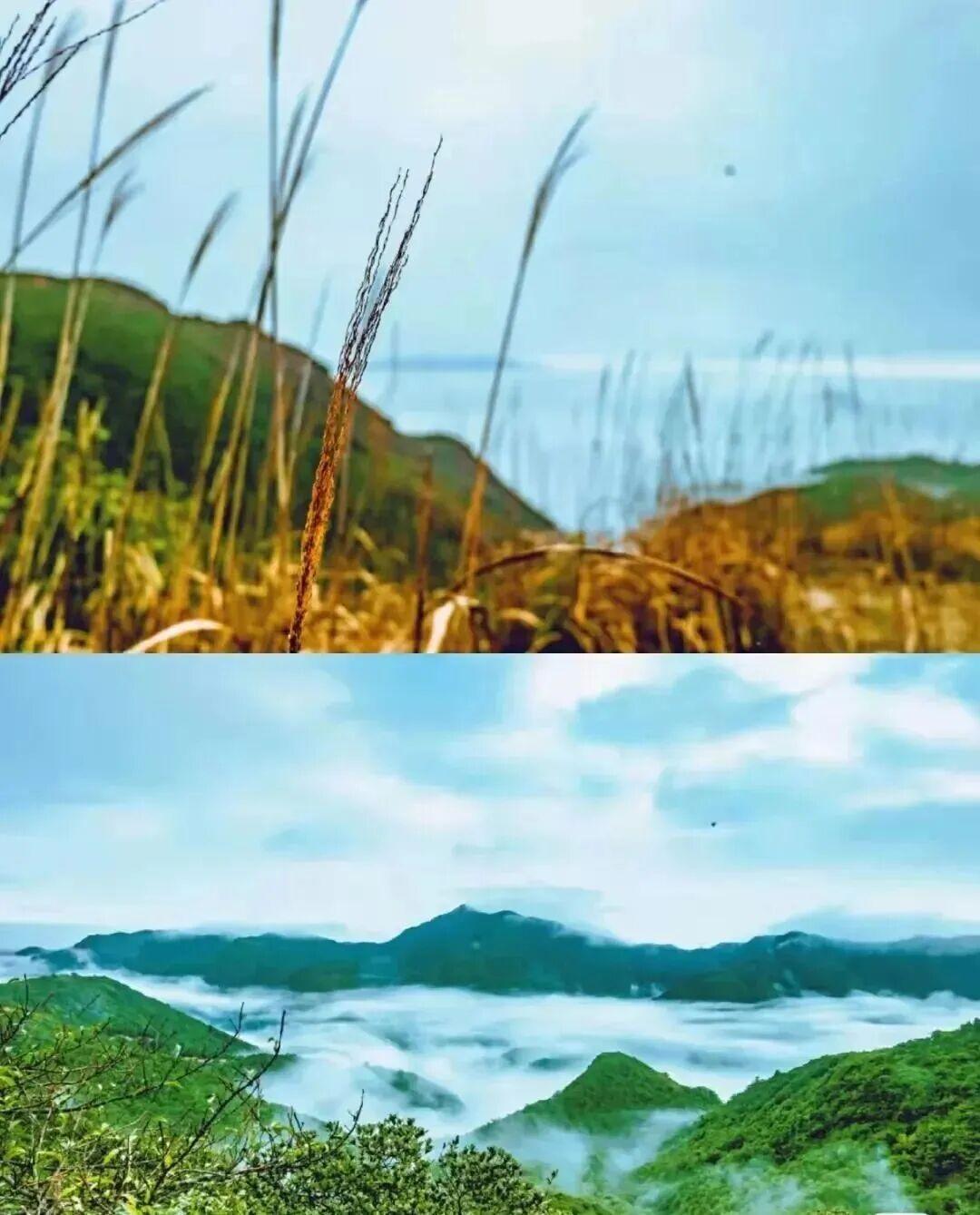 集卡领红包今天又是下雨天，昨天已经下了一天了。今天是第二天，越下越大，不知道这天