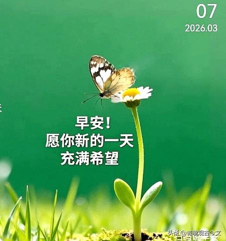 别把所有希望寄托在明天，过好每一个今天，明天才会更有价值。