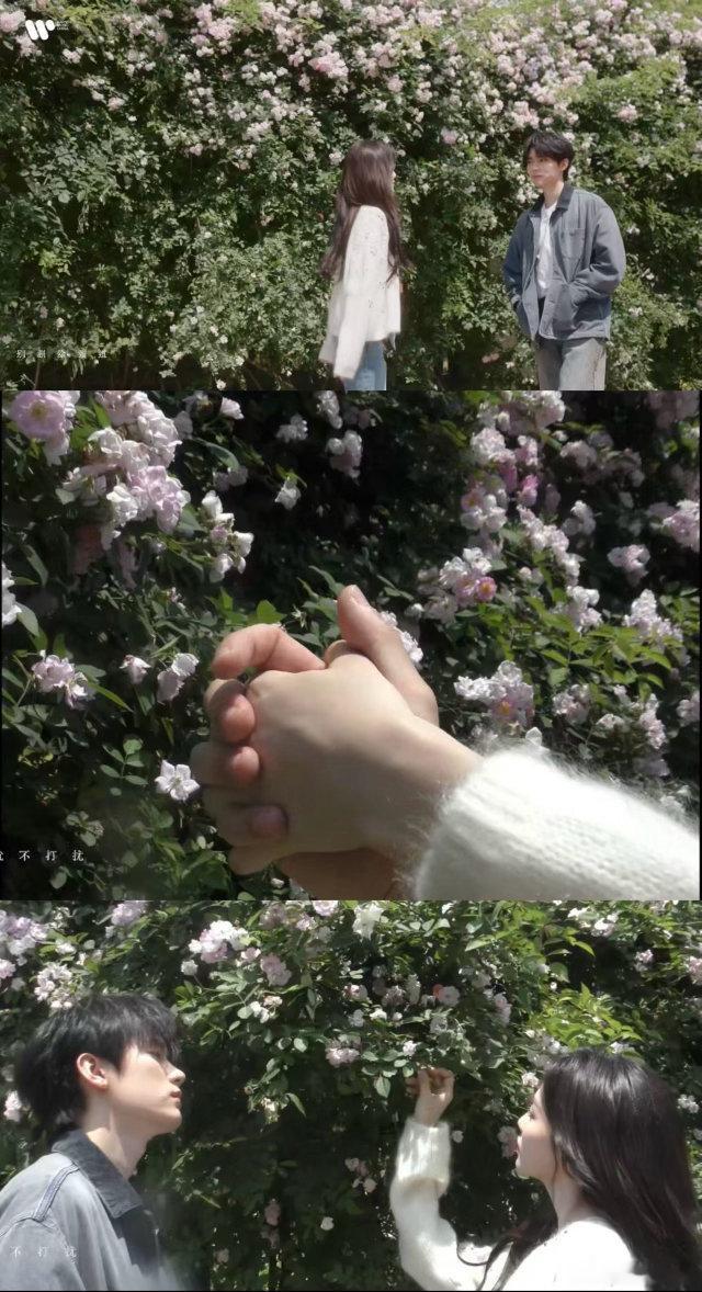 白鹿透明爱人MV电影质感白鹿唱歌好好听克制又浪漫的情感叙事，透明爱人 MV 封神