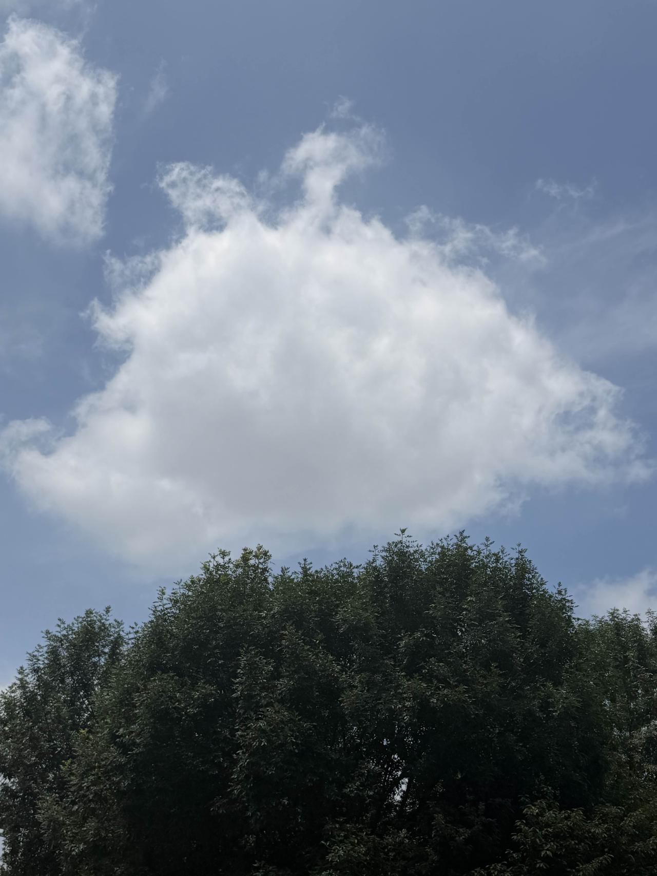 蓝天白云，绿树成荫，大自然的美景尽收眼底。天空风景美照 蓝天治愈瞬间 蓝天治愈图
