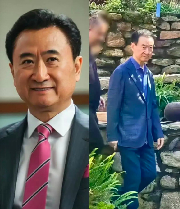 最近这张照片火了，看到过很多次。老王都瘦成这样子了～王健林已被冻结4.9亿股权 