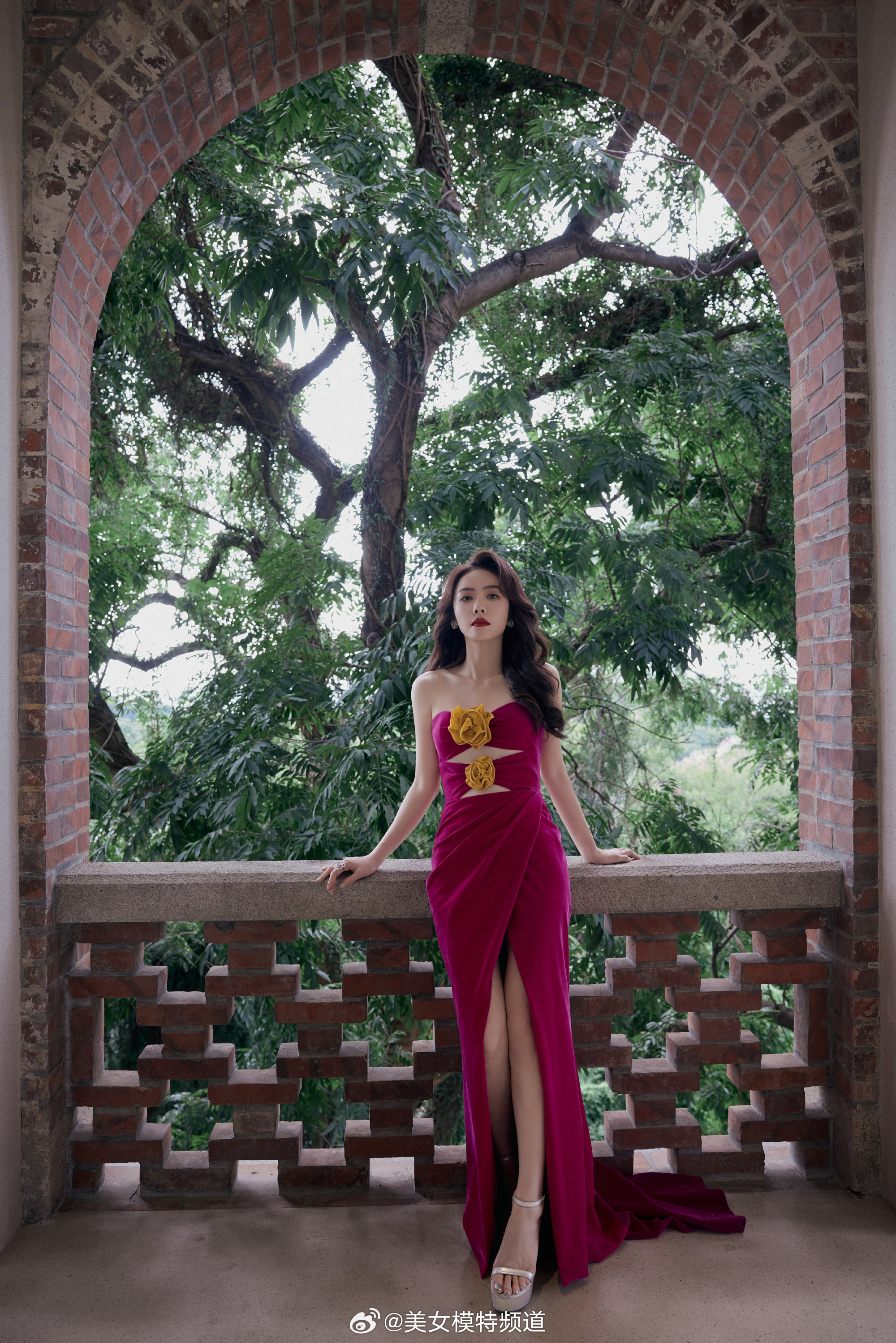 蔡文静温柔写真 