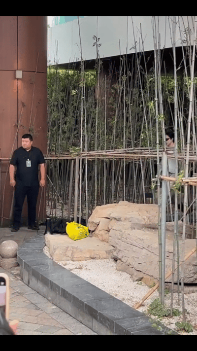 刘宇宁  哇塞～太酷啦刘宇宁^_^好帅呀！我喜欢的造型宁都有！Cr.水印 刘宇宁