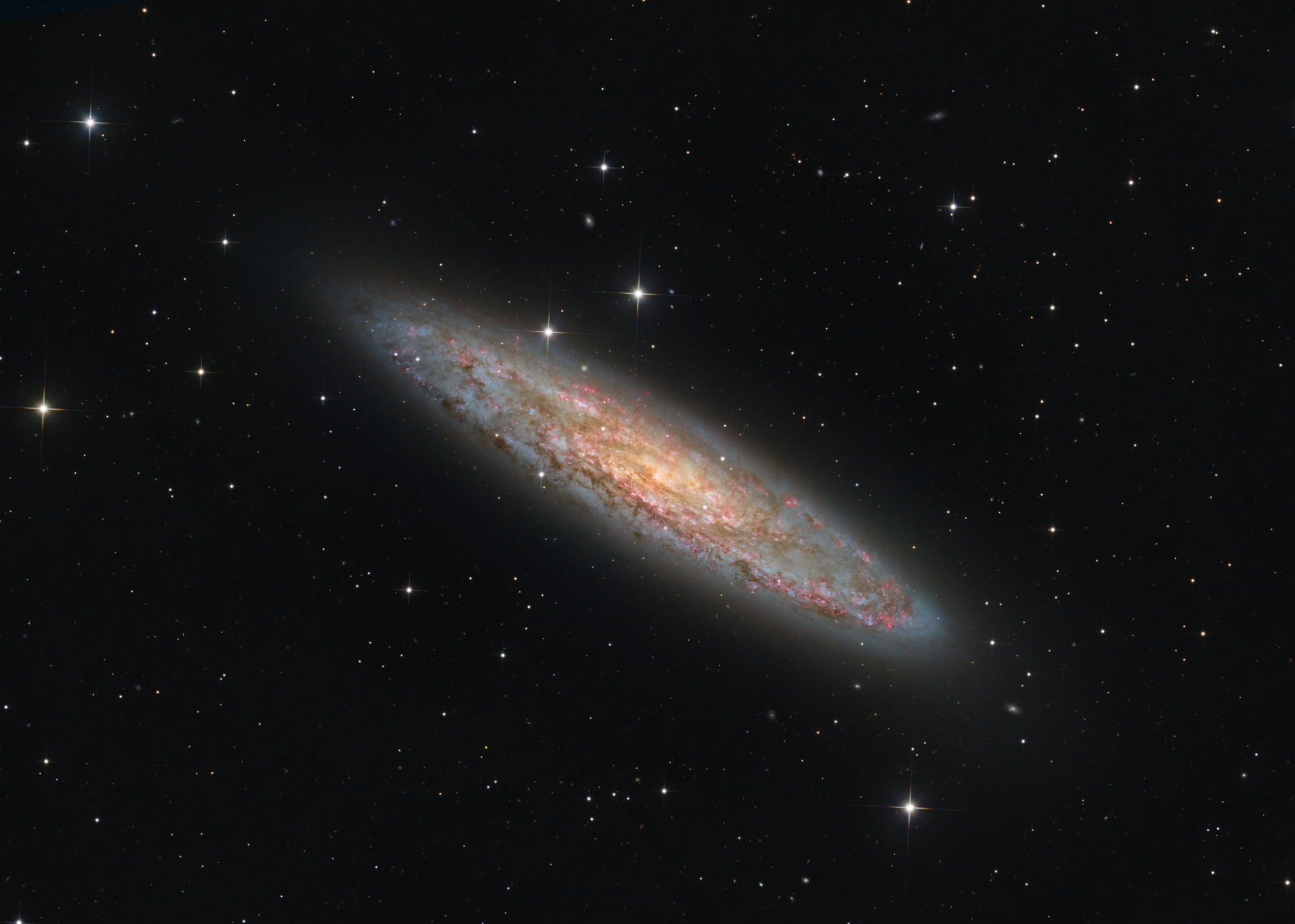 #每天一天文图# 这张令人惊叹的图像揭示了玉夫座星系 NGC 253 的迷人之美
