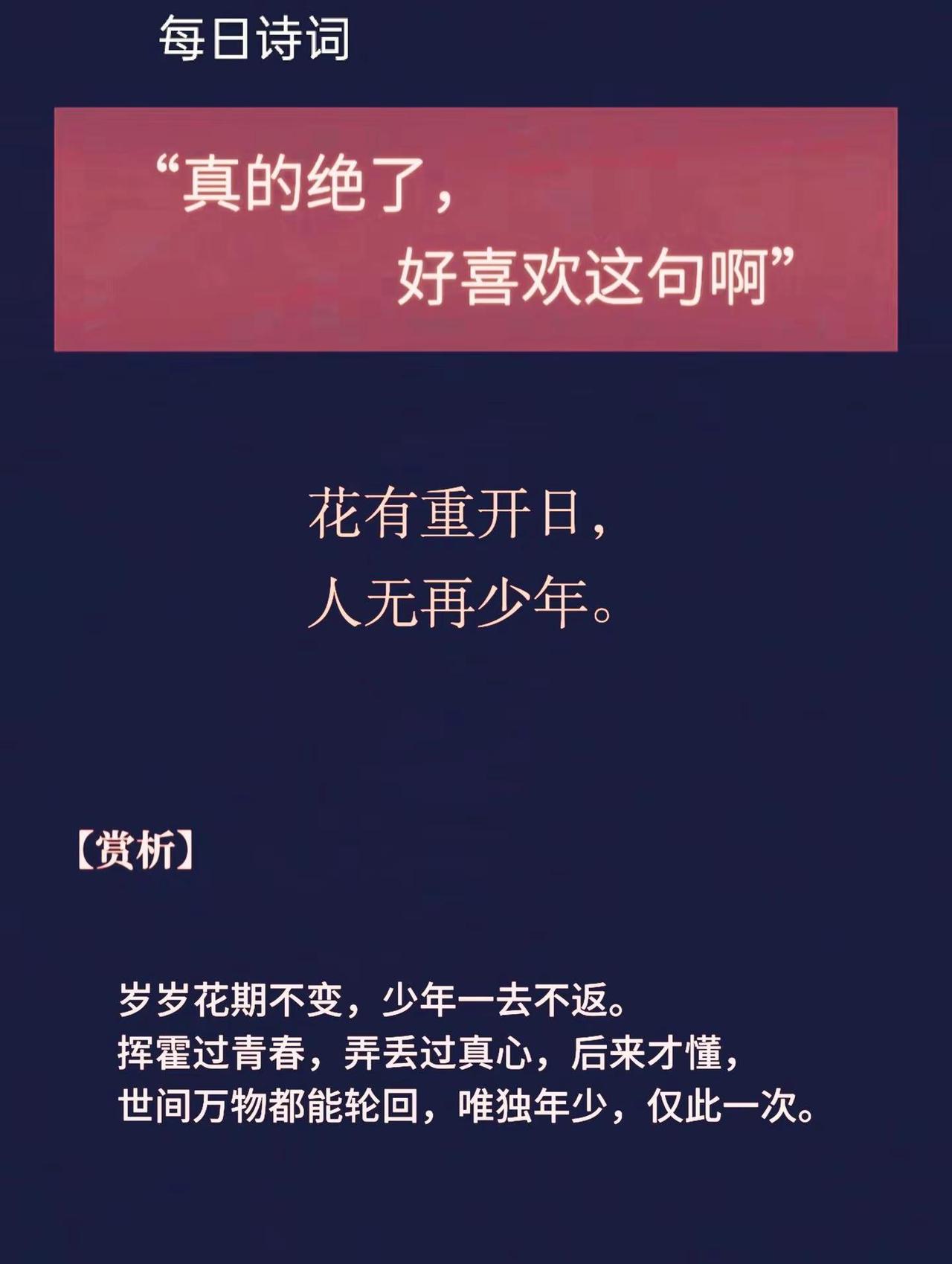 花有重开日，人无再少年最爱的诗句 学习古诗词的感悟 古典诗词魅力