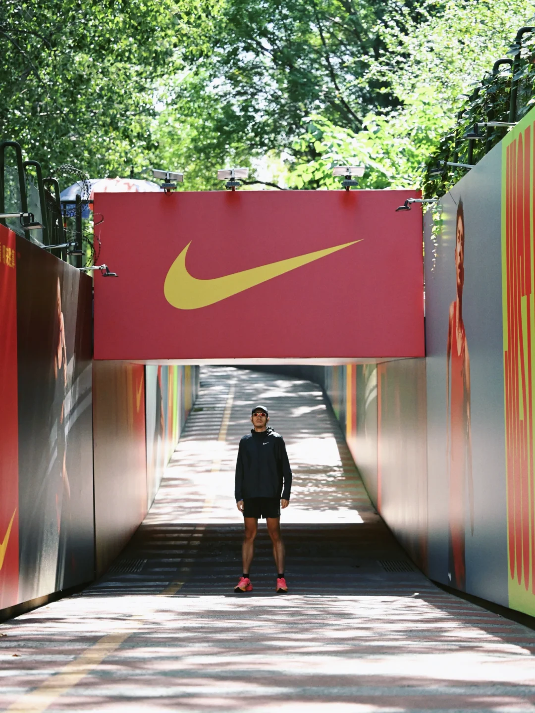 管他有没有胜算，就是闹他！