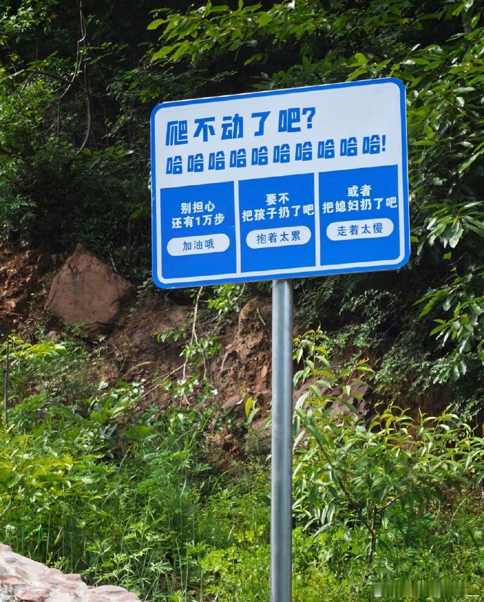 景区不会觉得这种牌子很好笑吧？ 