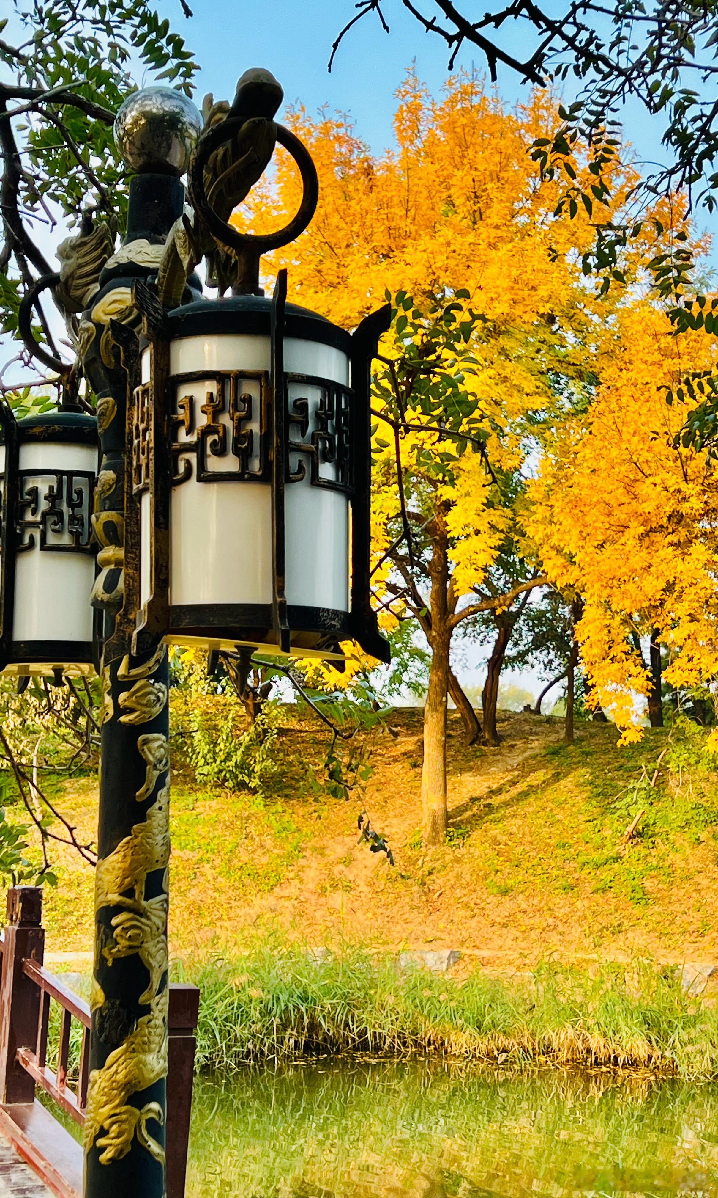 北京圆明园 秋色新摄影​​​