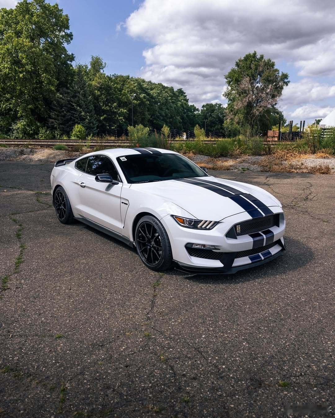 2019款福特野马谢尔比GT350，5.2升Voodoo V8（526hp）6速