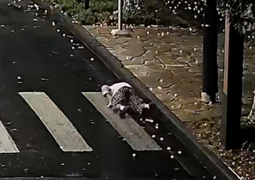 寻找两位暖心女士！路口扶起摔倒老人，救人后默默离去
 
9月28日中午12时许，