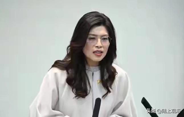 一元指挥”与“败选负责”有什么不对吗？
据台媒报道，7 月下旬举行的全代会上，将