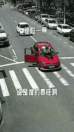 都是小狗惹的祸，大家说说交警能咋处理呢？