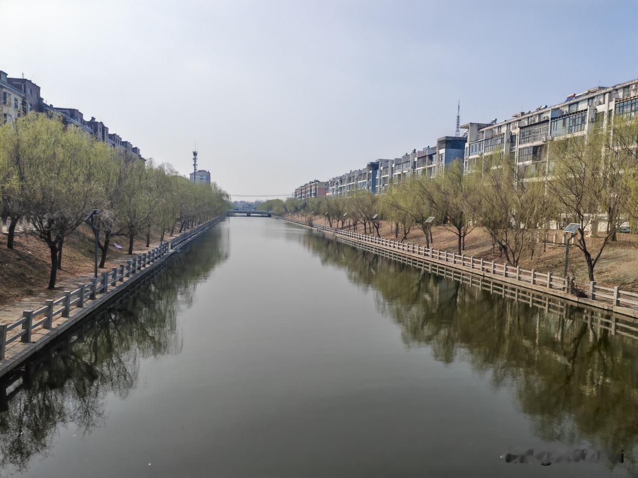 春日的山东庆云县城，清水河悠然穿城而过，绘就一幅静谧的河畔春日图景。河水澄澈清浅