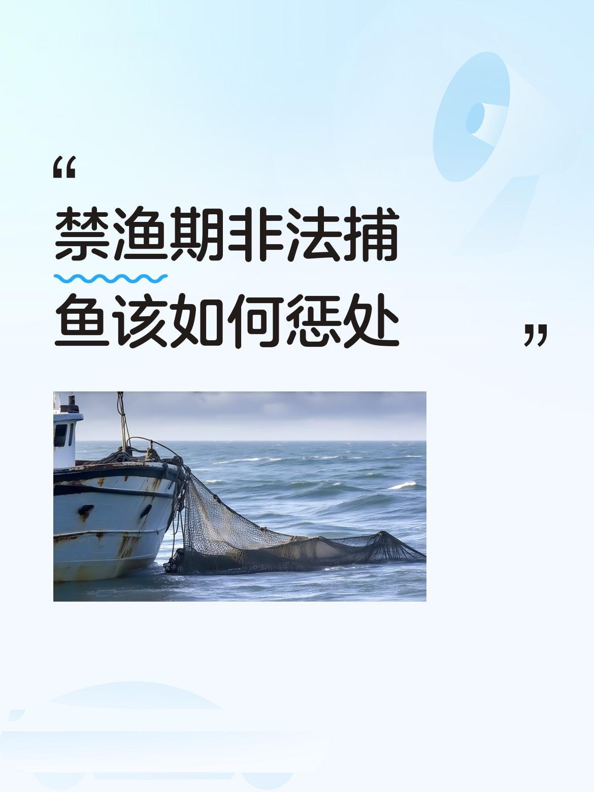 禁渔期非法捕鱼该如何惩处泥鳅这么大是野生的吗？