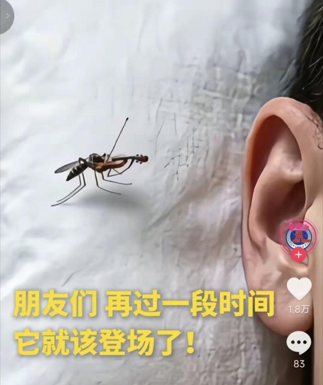 新华社总能给我们惊喜！前两天亮出一只母鸡，今天来个蚊子在耳边拉小提琴。大家说说看