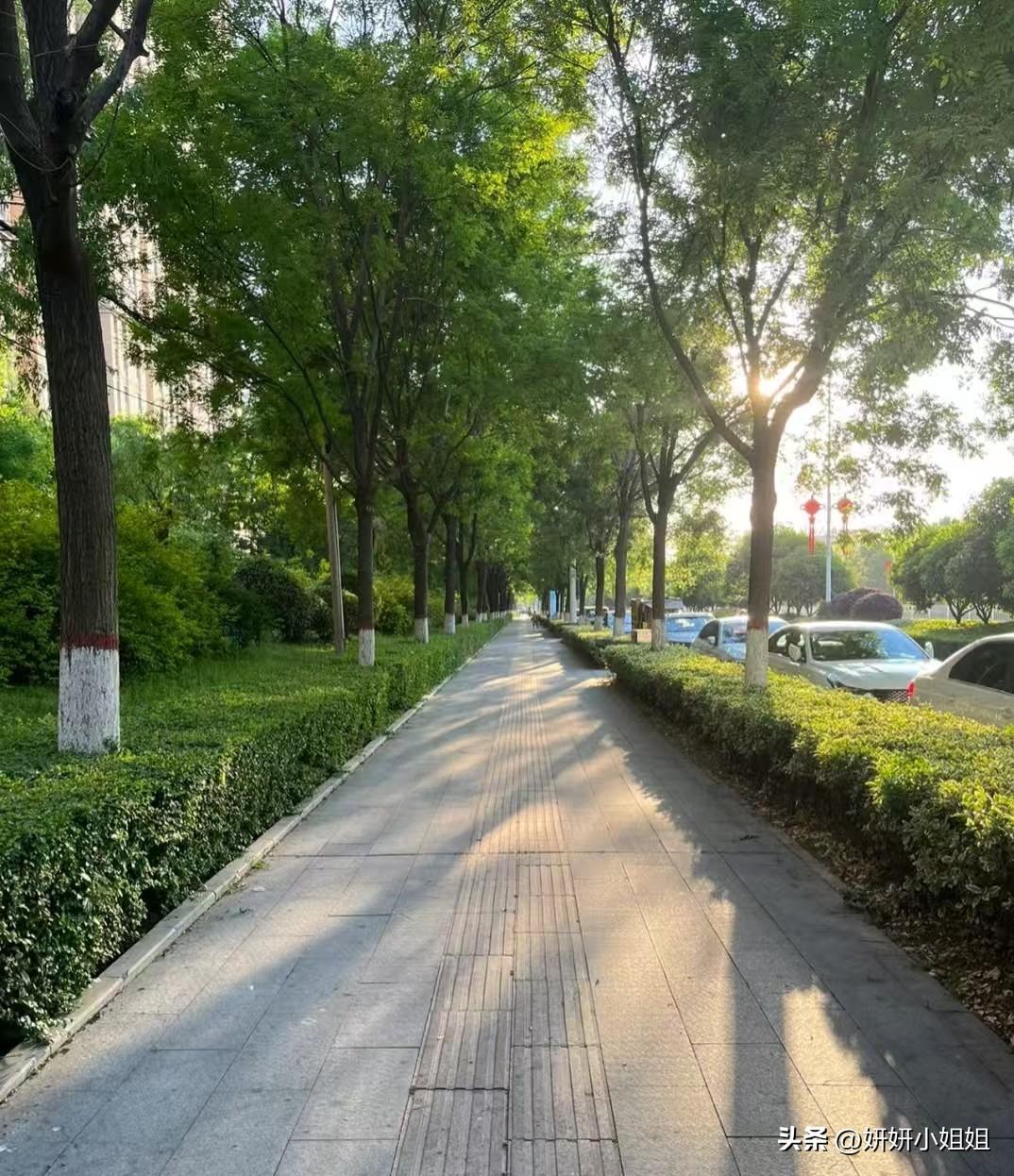 早上骑小电驴赶去上班，
想着一路畅通能准时打卡，
结果被几个大妈“治得服服帖帖”