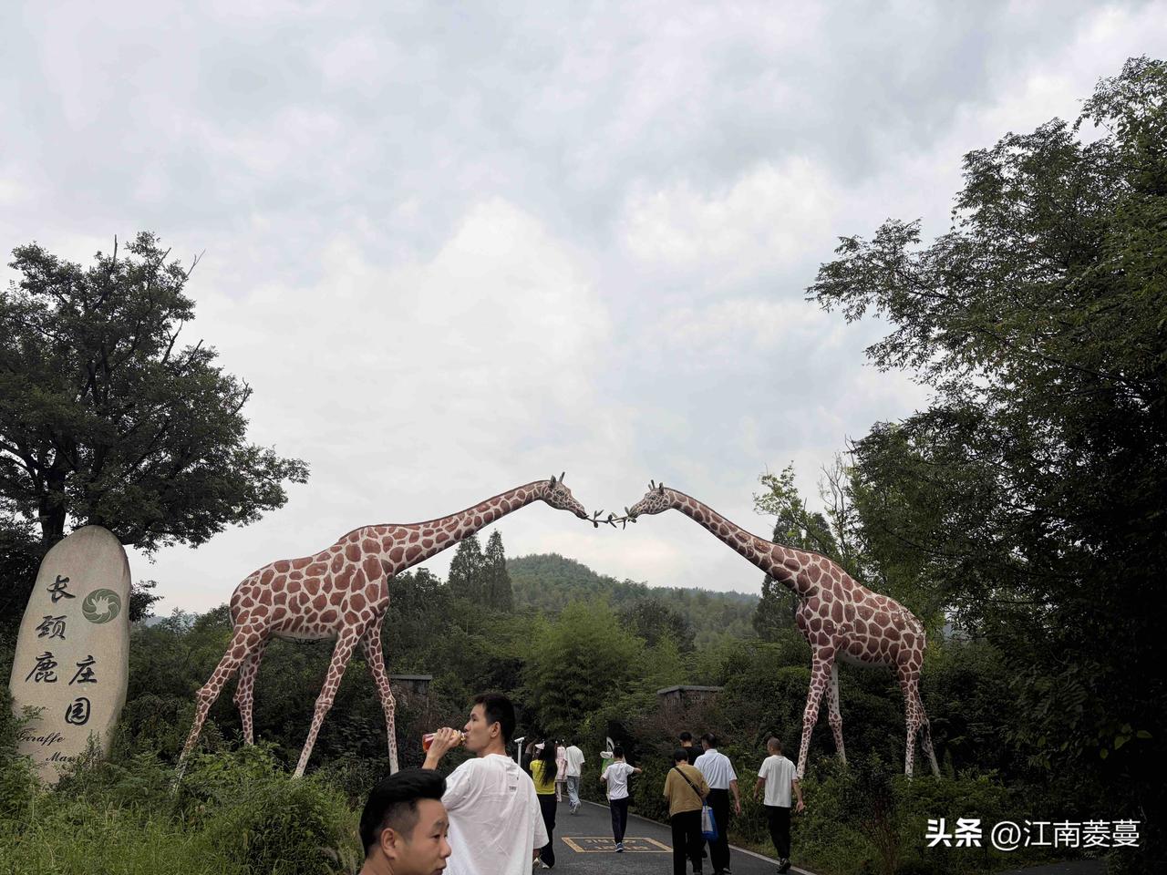林间草木清新，小动物温顺亲人。孩子们可以亲手投喂，沉浸式感受和萌宠相处的快乐。伴