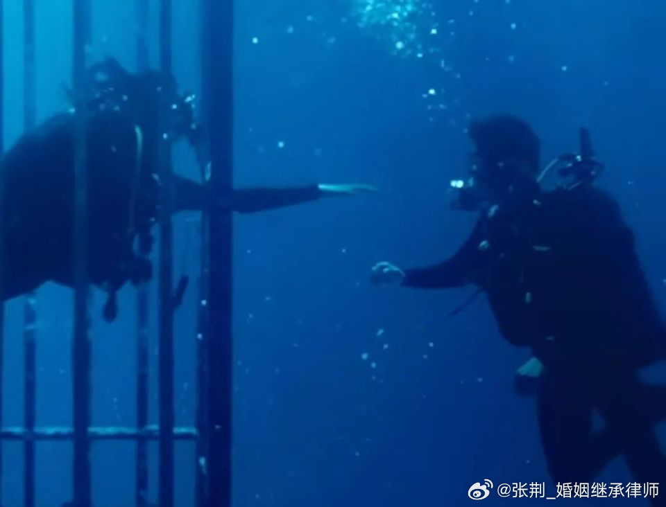 #潜水店为刷客致大量游客耳膜穿孔##律师说法#为了挣钱毫无底线了吗？游客自己要注