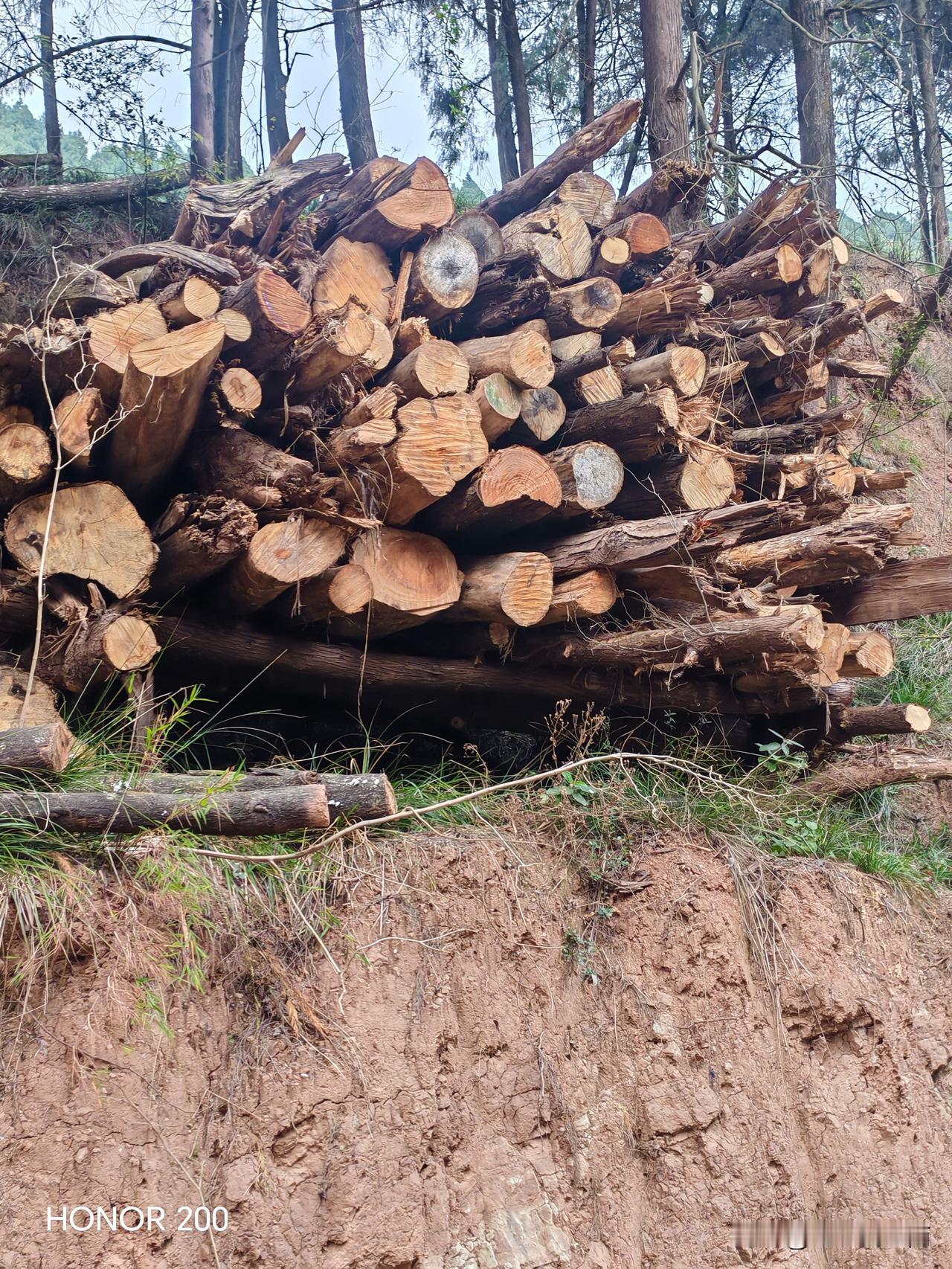 做企业的老板应该首先与老百姓的利益最大化而不是一味的追求利润最大化，我们加工九蒸