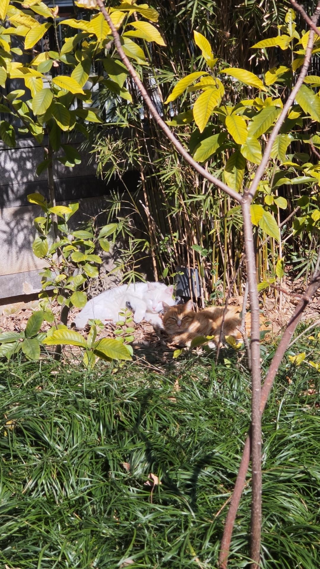 所谓闺蜜，给人一定要腻在一起咬耳朵的那种。而我，在生活中喜欢独处，又不爱家长里短