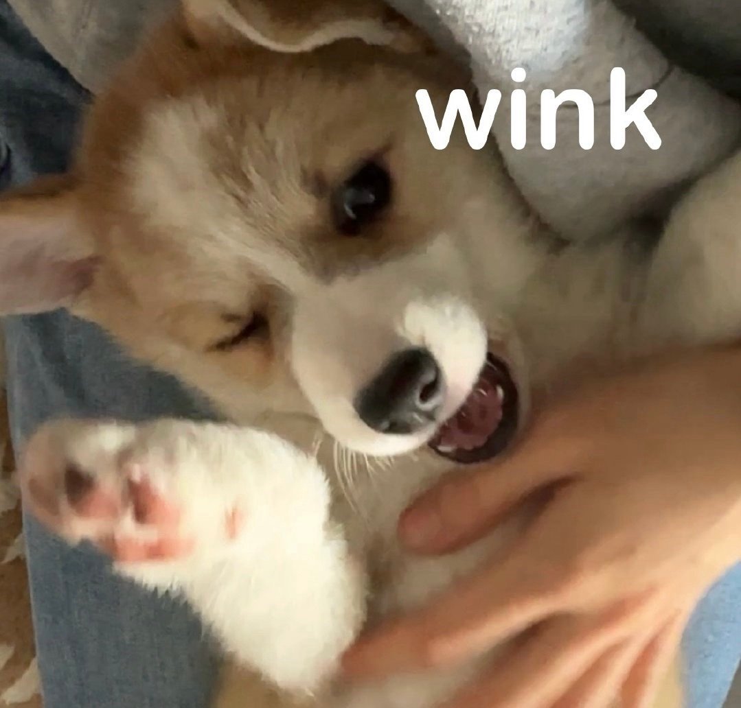 #北京正式启动医保线上购药#北京这把真的太给力了，用医保就能在线上买药了太方便不