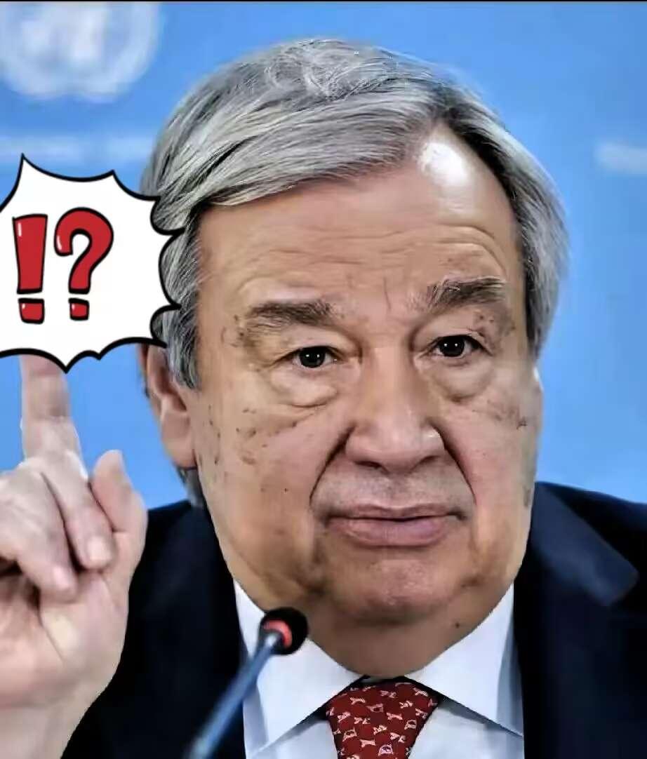 就在刚刚
联合国秘书长宣布了！

古特雷斯：东方大国全球倡议符合联合国宪章精神！