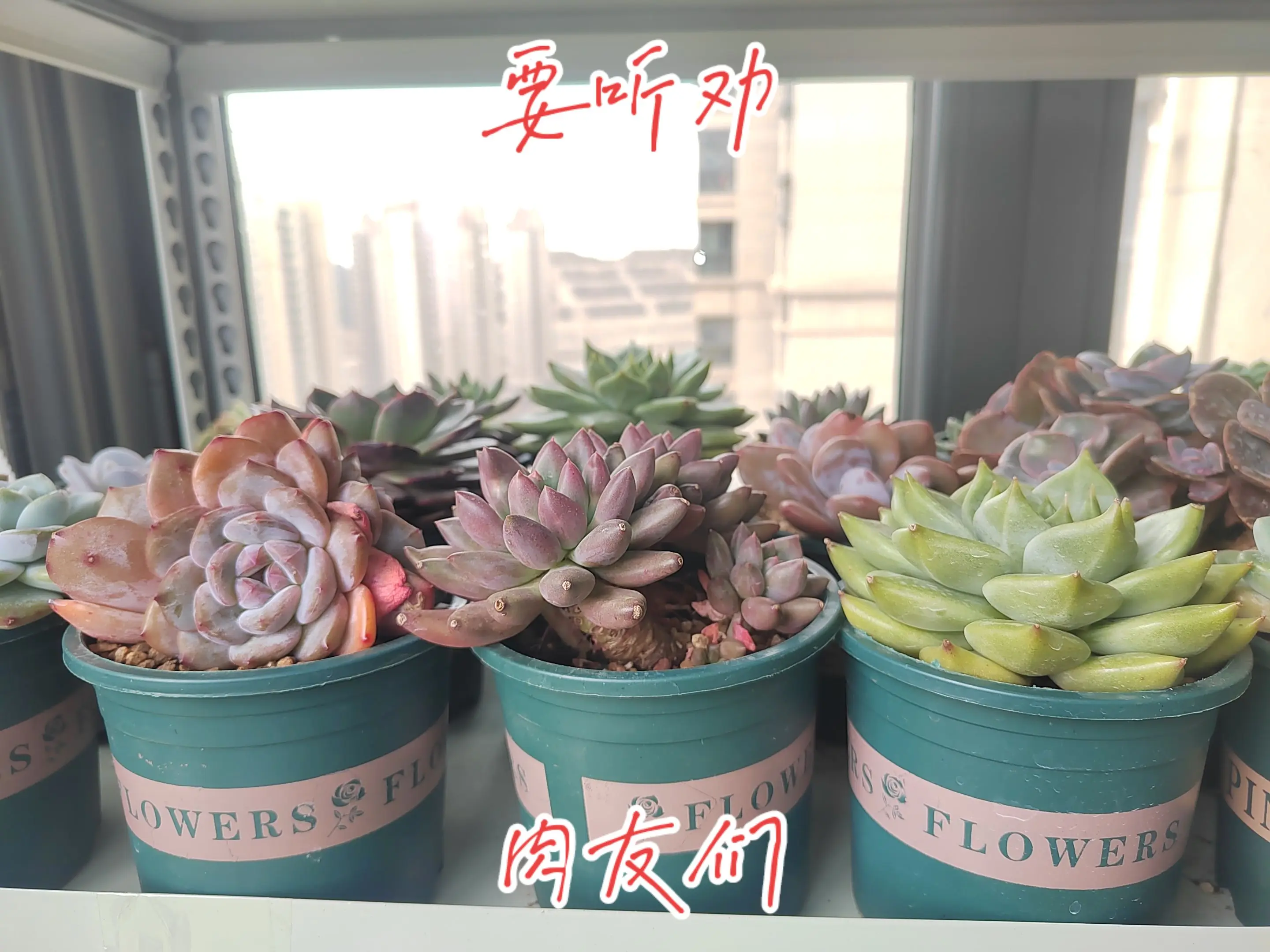 你把握不住的都给我吧