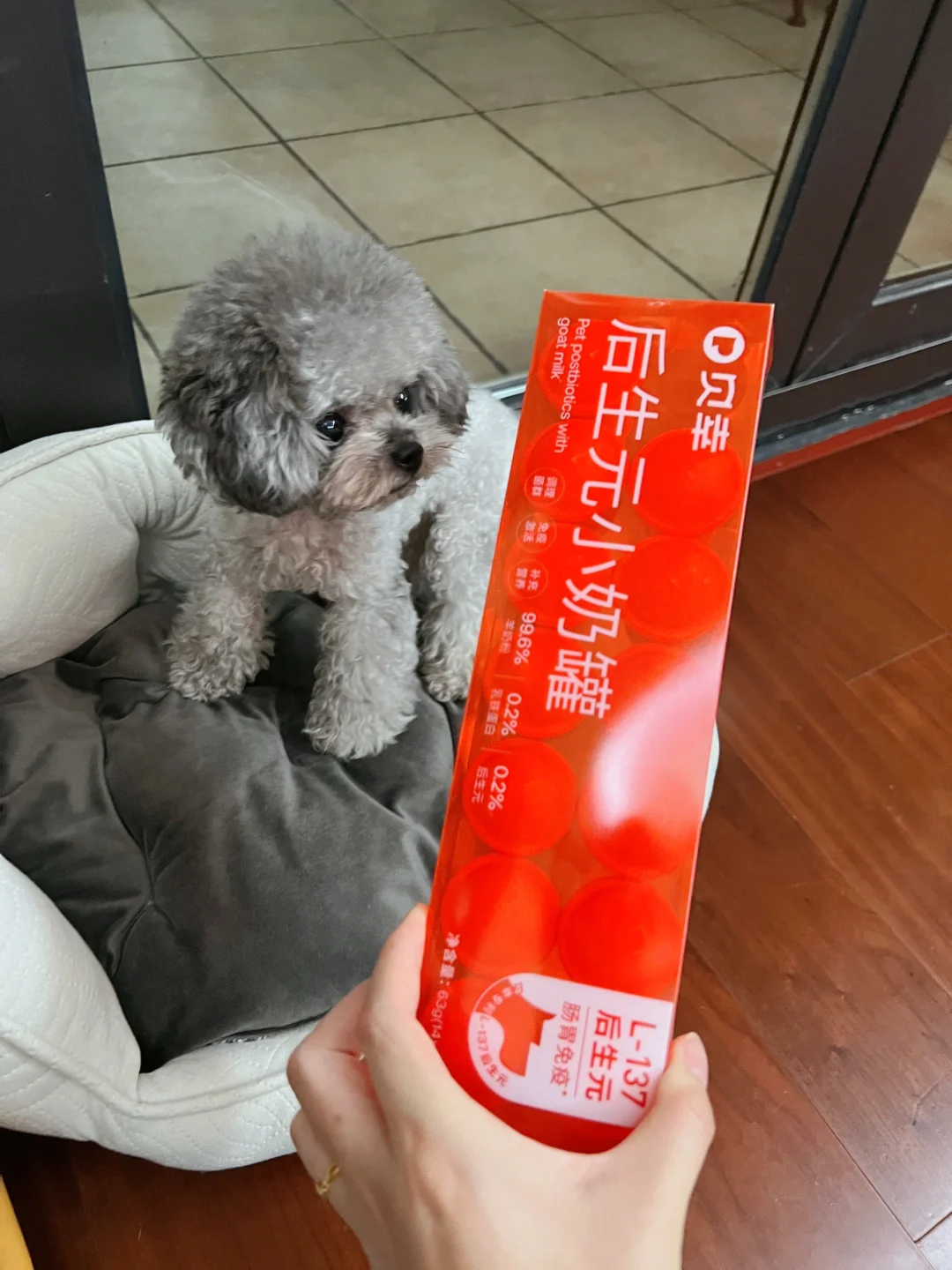 小奶罐吃过的怎么样？想让它长肉肉