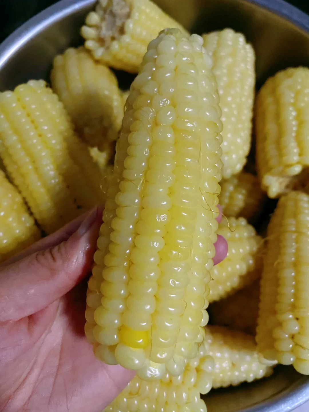 东北黏糯玉米🌽嘎嘎好吃😋