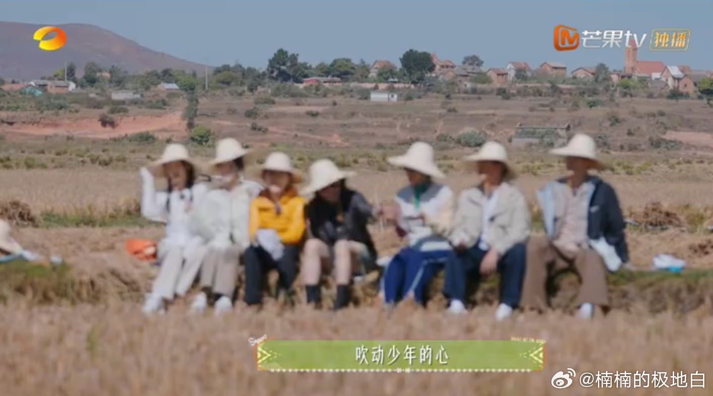 花少7在不同维度封神 第二期水稻研究员出圈成申论素材，花少7把研学玩明白。群像治
