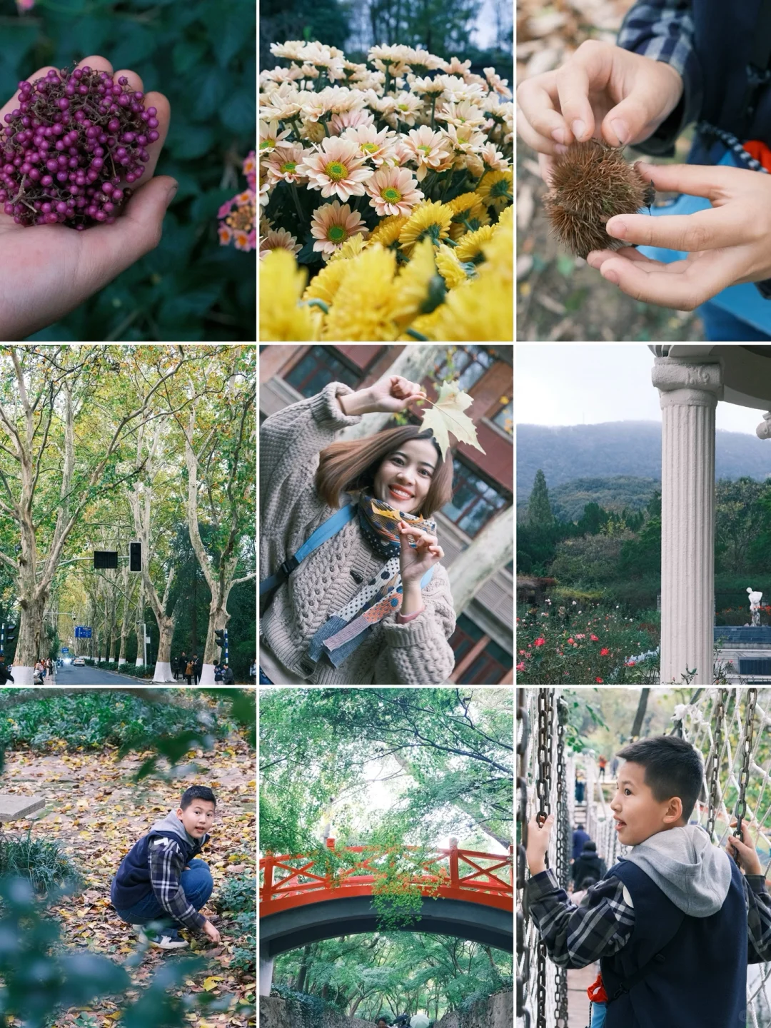 中山植物园🍁南园赏花，北园捡秋（1）