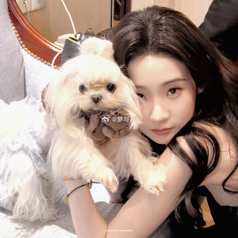 张艺凡上班带狗饭撒 元气甜妹和小狗搭子一起上班，跟粉丝互动饭撒的样子确实太戳人了