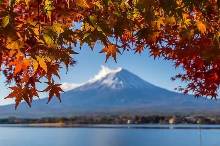 #秋日生活打卡季#🍂
秋天来啦，生活也要像这季节一样多彩呢！我决定加入秋日生活