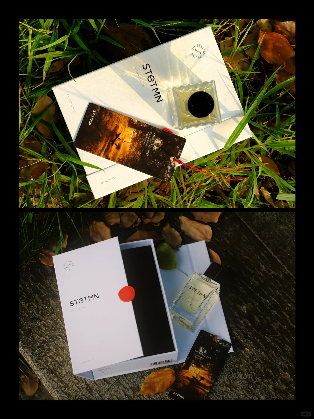 去公园散步才是正经事