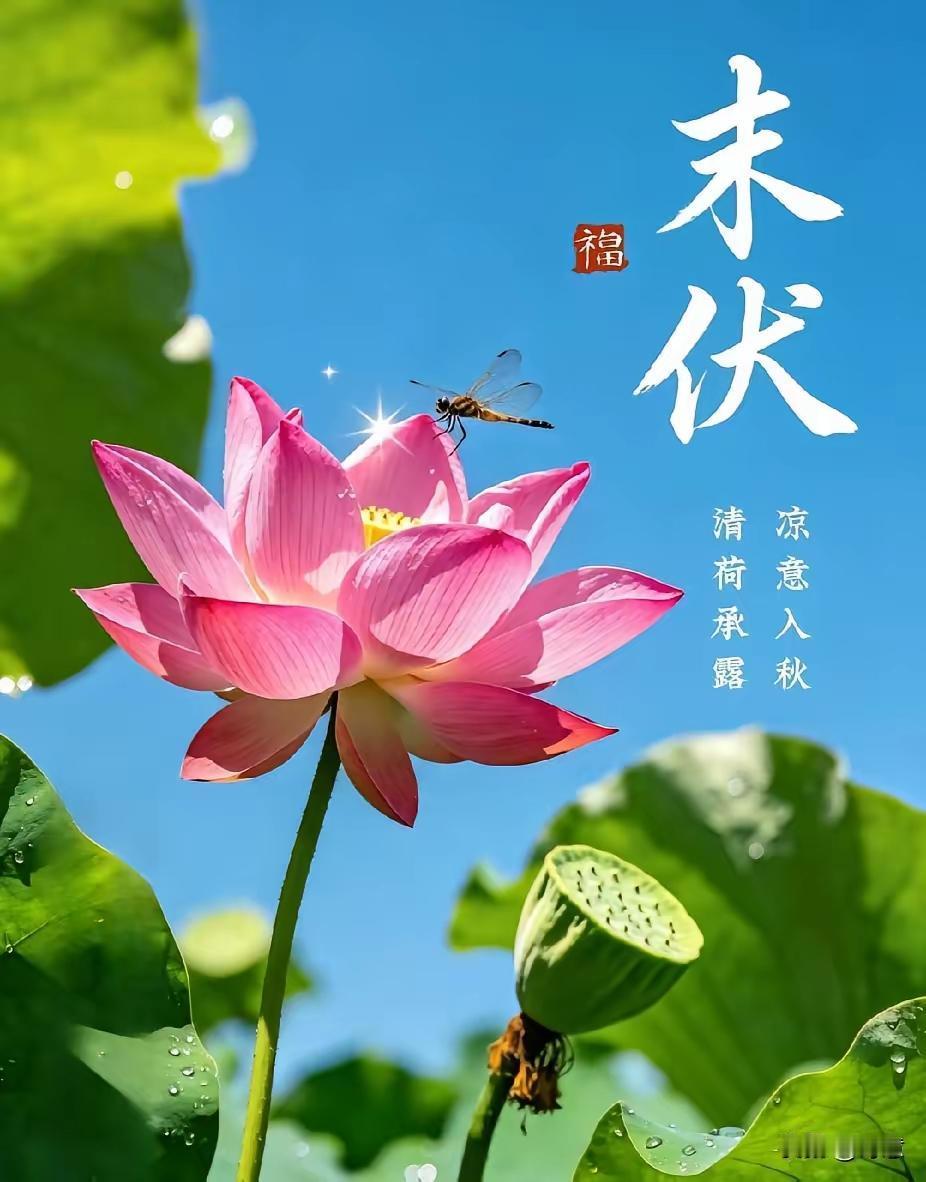 今日青岛，气温25C'至28C'度，体感宜人，祝您早安吉祥！

今天是2026年