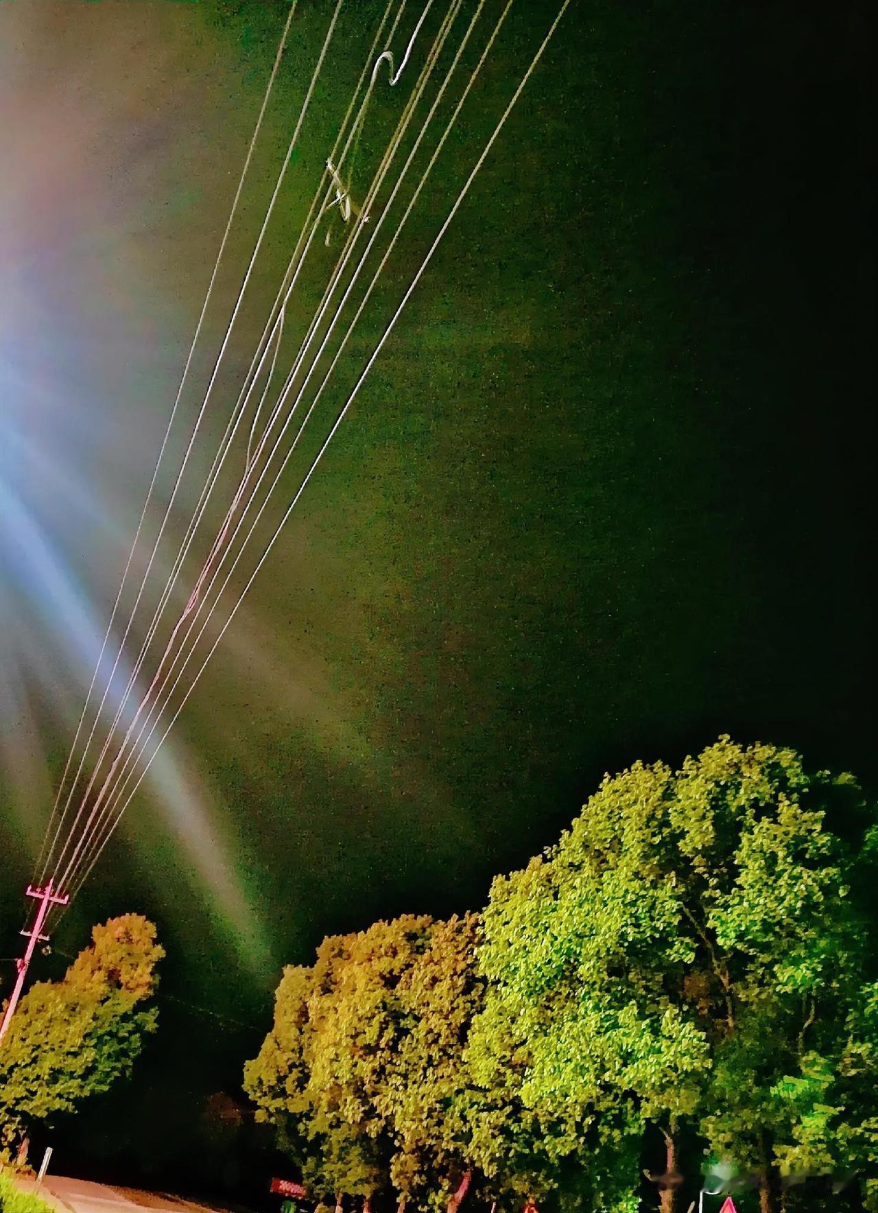 《光芒四射（李林摄于汉中城固）》