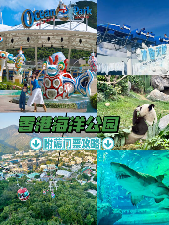 香港海洋公园不走回头路线❗附0元薅门票攻略