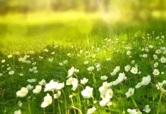 人都是逼出来的！

水到绝处是瀑布，人到绝处是重生！

一分钱难倒英雄汉，毫不夸