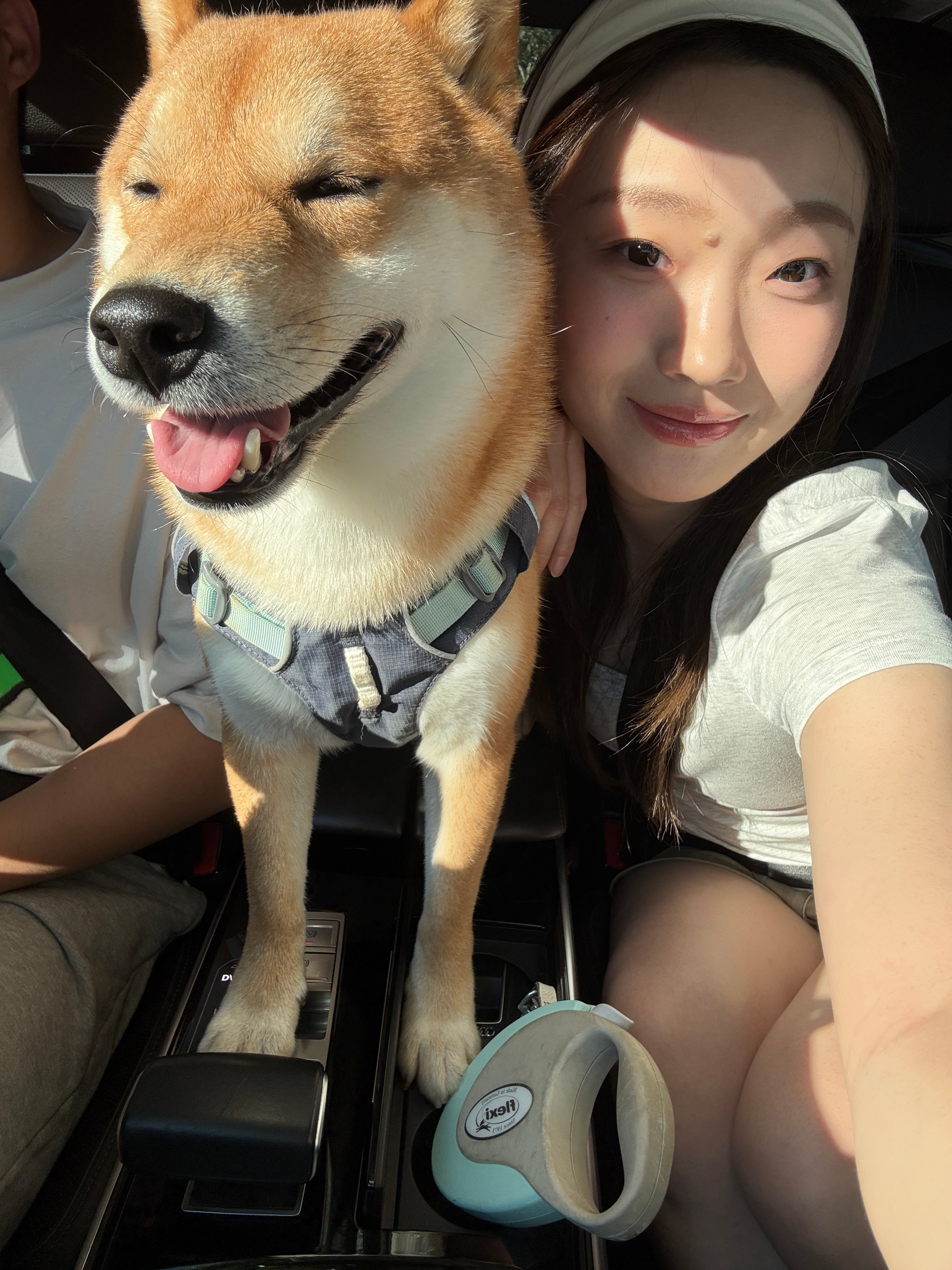 分享图片 ​​​