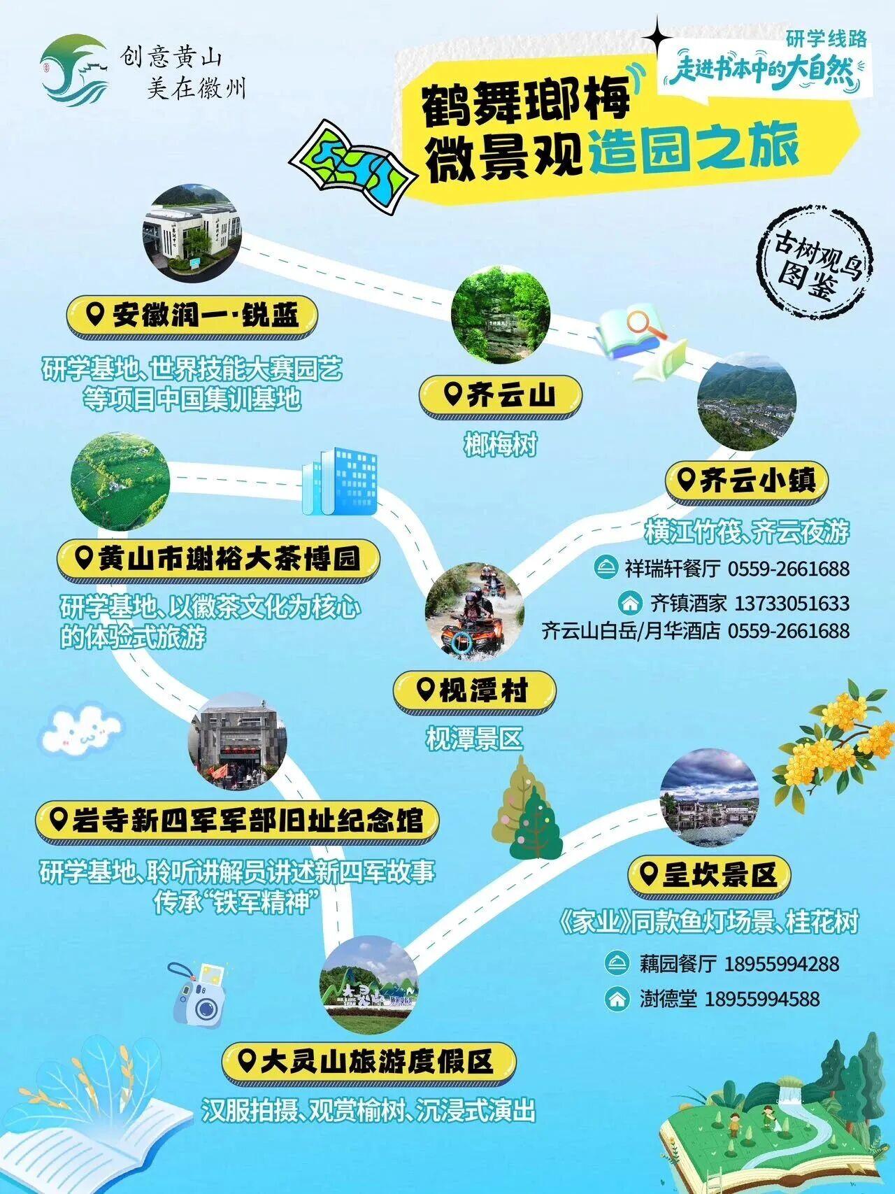 古树观鸟图鉴·研学线路④ | 别找了！徽州这条“鹤舞瑯梅”研学线，美景+红色故事