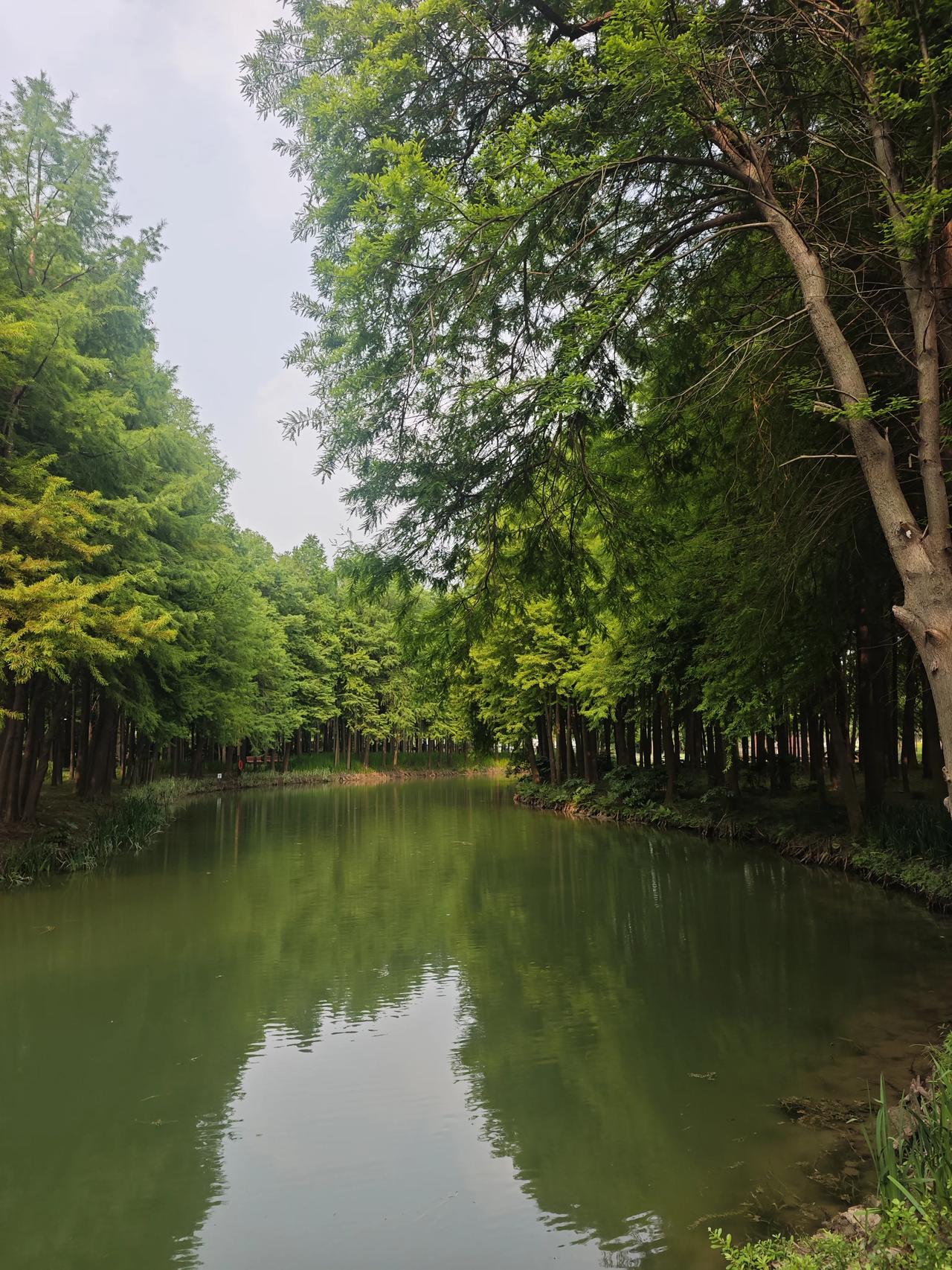 疼确实能让人长记性，但好为人师让人烦，见死不救让人寒。
中间那条道儿，叫