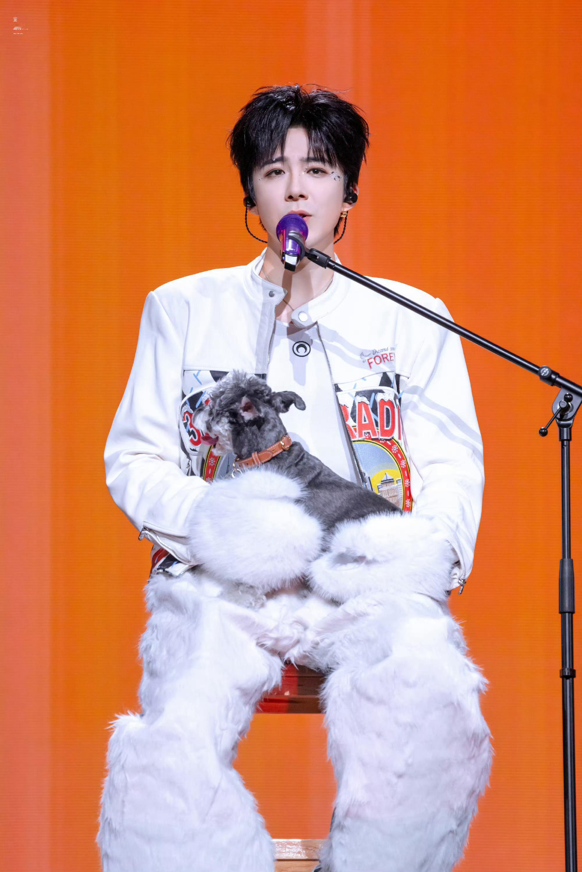 真的，东北人对貂有一种深深地执念，喜欢毛茸茸的东西。